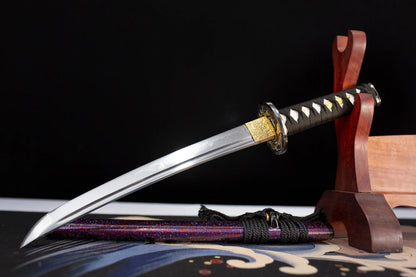 This is Wakizashi, a short sword