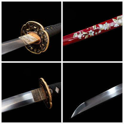 Brocade cluster katana