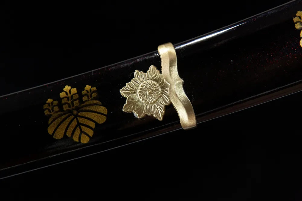 Kashiwaba Detail Recent Photo
